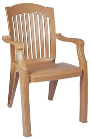 ΚΑΡΕΚΛΑ ΠΛΑΣΤΙΚΗ SKG STAR TEAK