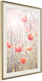 Αφίσα - Poppies - 40x60 - Χρυσό - Με πασπαρτού