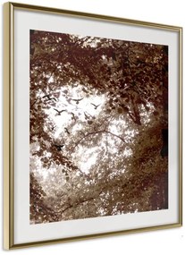 Αφίσα - In the Shade of Trees - 50x50 - Χρυσό - Χωρίς πασπαρτού