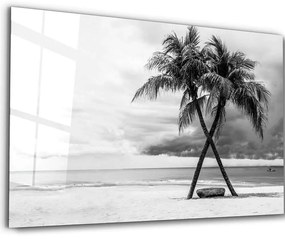 Πίνακας Γυάλινος 672BRS2674 72x46cm Black-White Wallity Horizontal Glass