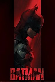 Αφίσα The Batman - Out of the Shadows, (61 x 91.5 cm)