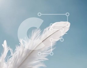 Intra Συλλεκτικό Ξύλινο Παζλ Plywood 4mm - Λευκό φτερό σε φόντο μπλε του ουρανού Σε Ξύλινο Κουτί - Διαστάσεις: 10x10 cm – 25 κομμάτια