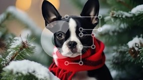 Intra Συλλεκτικό Ξύλινο Παζλ Plywood  4mm - Boston Terrier σε χειμερινό σκηνικό με κόκκινο κασκόλ Σε Ξύλινο Κουτί - Διαστάσεις: 10x10 cm – 25 κομμάτια