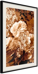 Αφίσα - Bouquet in Sepia - 20x30 - Μαύρο - Με πασπαρτού