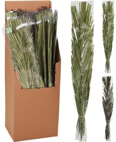 Φύλλα ArteLibre Khajur 95-100cm Δεμένα Σε Χάρτινη Θήκη 36Τμχ Σε 3 Ποικιλίες
