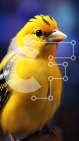 Σετ των 2 Intra Συλλεκτικό Ξύλινο Παζλ Plywood  4mm - Κίτρινο πουλί με ασπρόμαυρες ρίγες Σε Ξύλινο Κουτί - Διαστάσεις: 10x10 cm – 25 κομμάτια