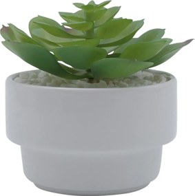 Τεχνητό Φυτό σε Κεραμικό Γλαστράκι 8x14cm