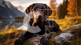 Intra Συλλεκτικό Ξύλινο Παζλ Plywood  4mm - Black Labrador Retriever Dog δίπλα στη λίμνη με βουνά στο φόντο Σε Ξύλινο Κουτί - Διαστάσεις: 10x10 cm – 25 κομμάτια