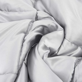 vidaXL Χειμερινό Παπλωματοθήκη 155 x 220 cm 450 gsm Ασημί