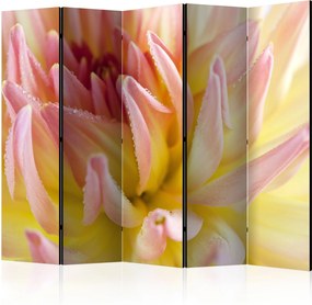 Διαχωριστικό με 5 τμήματα - Pastel colored dahlia flower with dew drops II [Room Dividers]