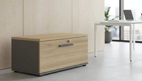 Ντουλάπι Treasury-Kafe