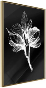 Αφίσα - White Plant - 30x45 - Χρυσό - Χωρίς πασπαρτού