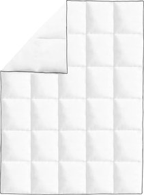 vidaXL Πάπλωμα 2 τμχ. 135 x 200 cm Χειμώνας Λευκό Αναπνεύσιμο