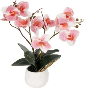 Τεχνητό Φυτό Σε Κασπώ Orchid 21075 30cm Pink GloboStar Πολυαιθυλένιο
