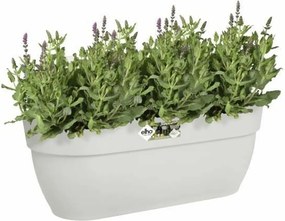 Κρεμαστό Φυτευτή Elho Λευκό Πλαστική ύλη 24 x 46 x 26,5 cm
