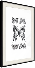 Αφίσα - Butterfly Collection IV - 40x60 - Μαύρο - Με πασπαρτού