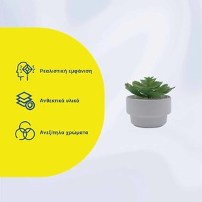 Τεχνητό Φυτό σε Κεραμικό Γλαστράκι 8x14cm