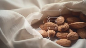 Intra Συλλεκτικό Ξύλινο Παζλ Plywood  4mm - Αμύγδαλα σε λευκό ύφασμα Σε Ξύλινο Κουτί - Διαστάσεις: 10x10 cm – 25 κομμάτια