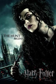 Εικονογράφηση Harry Potter - Bellatrix