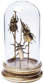 Διακοσμητικό Insects Tre Γυάλινο - Χρυσό