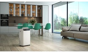 Αφυγραντήρας Olimpia Splendid 02065