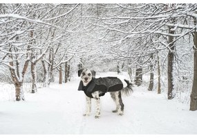 Παλτό Σκύλου Dog Gone Smart Μαύρο 30 cm