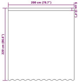 vidaXL Κουρτίνα Δαντέλας με κουρτίνες Λευκό 220 x 200 εκ Πολυεστέρας