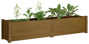 vidaXL Ζαρντινιέρα Υπερυψωμένη Μελί 150 x 31 x 31 εκ. από Μασίφ Πεύκο