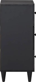 vidaXL Ντουλάπες Αποθήκευσης Πολύχρωμο 40 x 33,5 x 75 εκ