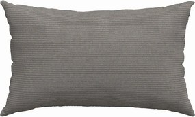 vidaXL Μαξιλάρι Καναπέ 2 pcs Ανοιχτό γκρι 50 x 30 cm