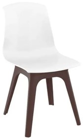 Καρέκλα Ακρυλική 4τμχ Allegra PP Brown Glossy White 50Χ54Χ85εκ.