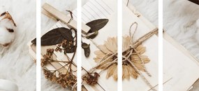 Συλλογή εικόνων 5 μερών από παλιά φύλλα