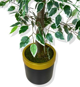 Τεχνητό δέντρο Ficus με χρυσή γωνιακή γλάστρα Πολύχρωμο 30x25x151 cm