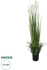 Τεχνητό Διακοσμητικό Φυτό Γρασίδι Πάμπας Artificial Garden PAMPAS GRASS 20106 Globostar-20106-Πράσινο 20106
