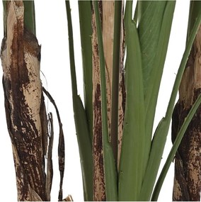 Διακοσμητικό Φυτό DKD Home Decor (90 x 90 x 200 cm)