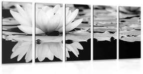 Εικόνα λουλούδι λωτού 5 τμημάτων σε ασπρόμαυρο