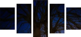 5 μέρη εικόνα δέντρα στο νυχτερινό τοπίο - 200x100