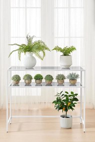 Dresser By-4 - White White
Tranparent