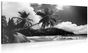 Εικόνα μιας όμορφης παραλίας στο νησί των Σεϋχελλών σε ασπρόμαυρο