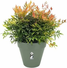 Βάζο Λουλουδιών Elho   Ø 50 cm Πλαστική ύλη