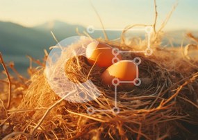 Intra Συλλεκτικό Ξύλινο Παζλ Plywood 4mm - Αυγά στη φωλιά με θέα στο βουνό Σε Ξύλινο Κουτί - Διαστάσεις: 10x10 cm – 25 κομμάτια