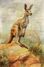 Εικονογράφηση Kangaroo, Thomas Chedeville
