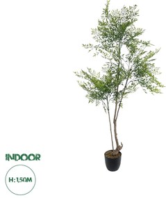 20965 GloboStar® Artificial Garden GREEN NANDINA PLANT 20965 Διακοσμητικό Φυτό Πράσινη Ναντίνα Φ66 x Υ150cm