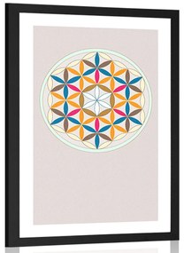 Αφίσα με παρπαστού Πολύχρωμα Mandala - 20x30 white