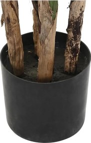 Διακοσμητικό Φυτό DKD Home Decor (90 x 90 x 200 cm)