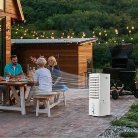 VEVOR Evaporative Air Cooler 9L 550 CFM Swamp Air Conditioner with 2 Ice Boxes