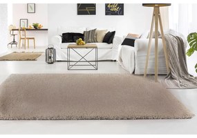 Eco-Carpet Μοκέτα Shaggy 240x290 - Dali Γκρι/Μπεζ