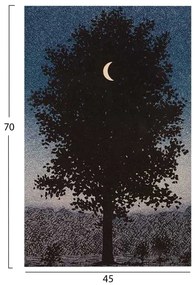 ΠΙΝΑΚΑΣ TOIXOY ΣΕΙΡΑ GOBI HM4850 ΕΚΤΥΠΩΜΕΝΟΣ ΚΑΜΒΑΣ 45x3(πάχος)x70Yεκ.