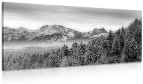 Εικόνα παγωμένων βουνών σε μαύρο & άσπρο