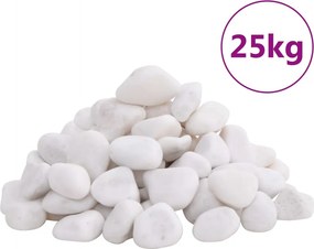 vidaXL Βότσαλα Γυαλισμένα Λευκά 25 κ. 2-5 εκ.